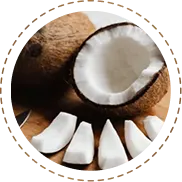 Fresh Coconut Kernels